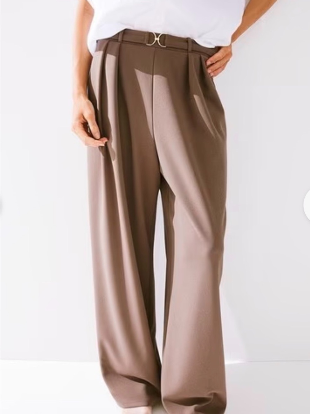 H&M Taupe Pleated Wide-Leg Dress Pants